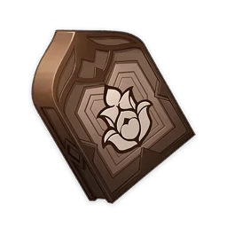 Bài Giảng Của "Thực Hành"