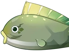 Cá Pháo Cay Đắng